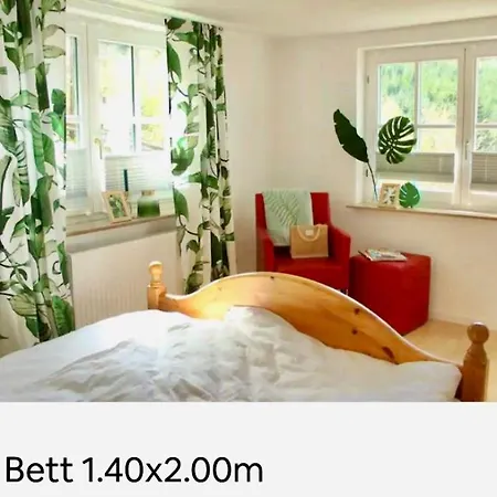 Doernberg Erleben Mit Tiere Bei Winterberg