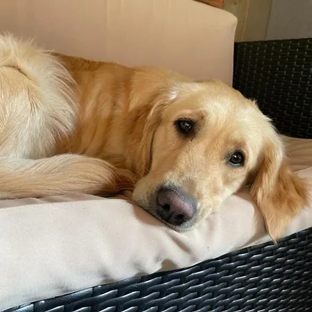 Doernberg Erleben Mit Tiere Bei Winterberg شقة