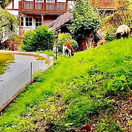 Apartment Doernberg Erleben Mit Tiere Bei Winterberg *