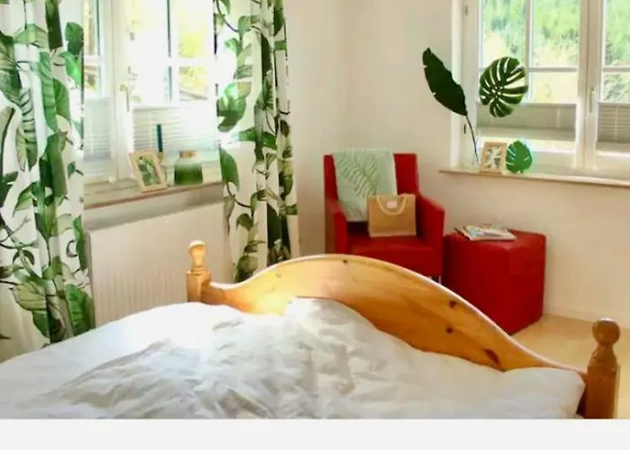 Doernberg Erleben Mit Tiere Bei Winterberg