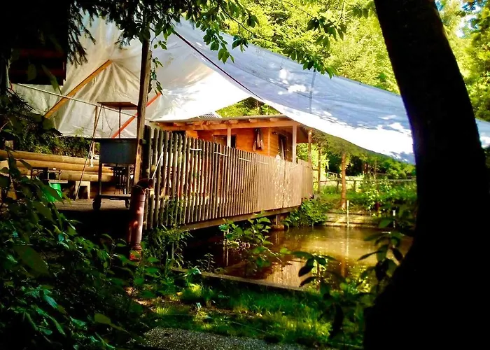 Doernberg Erleben Mit Tiere Bei Winterberg