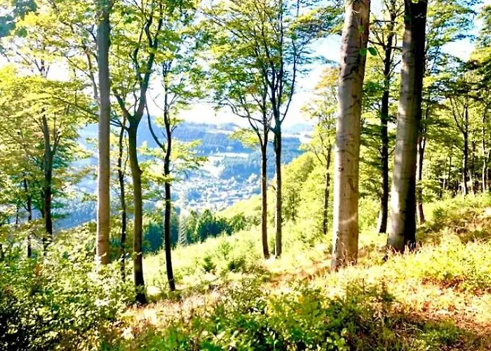 公寓 Doernberg Erleben Mit Tiere Bei Winterberg 贝斯特维格