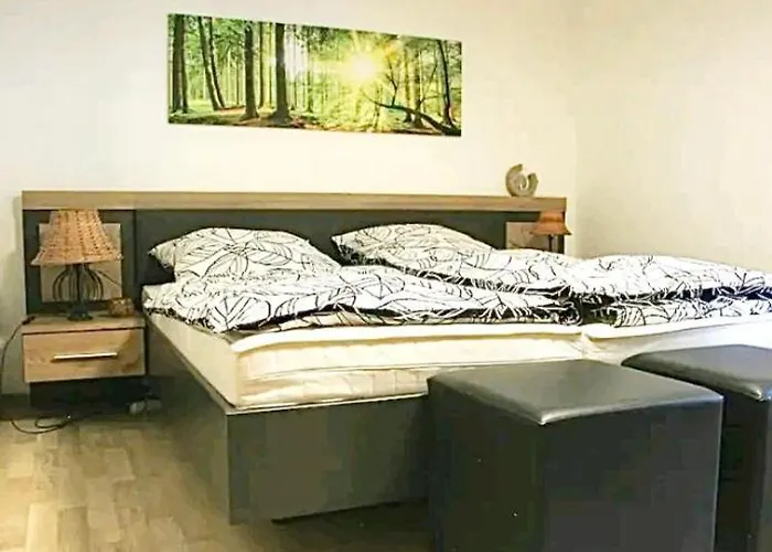 Doernberg Erleben Mit Tiere Bei Winterberg