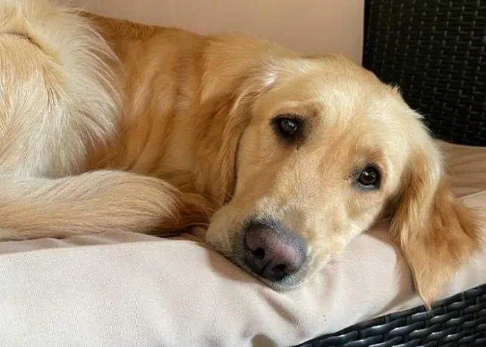 Doernberg Erleben Mit Tiere Bei Winterberg 公寓